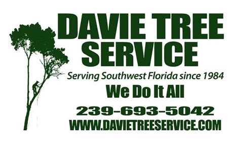 Davie Tree Service: Tree Service in Cape Coral and Fort Myers since.